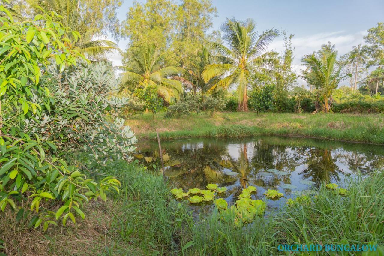 Orchard Fruit Farm Bungalow Фукуок Екстер'єр фото