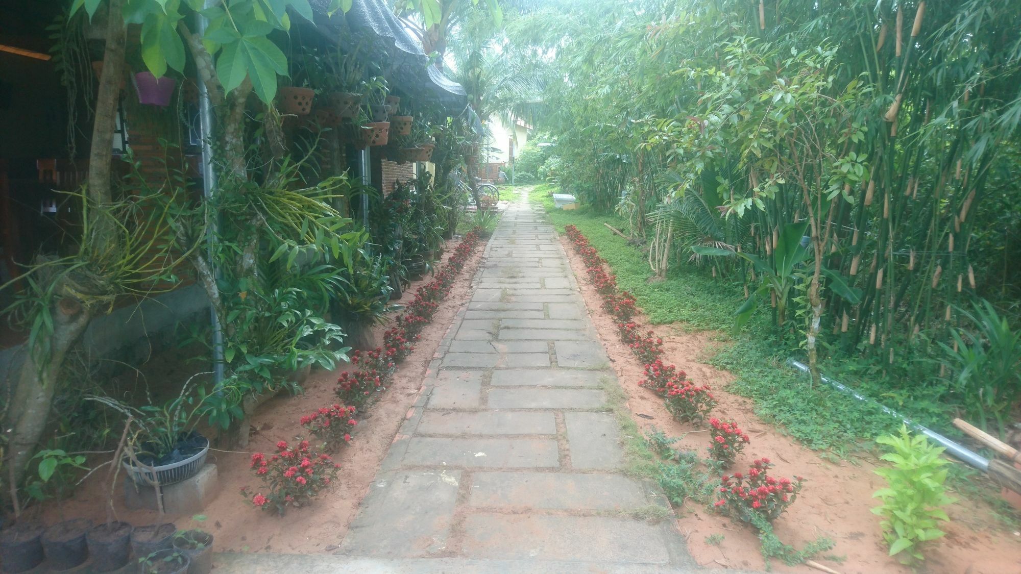 Orchard Fruit Farm Bungalow Фукуок Екстер'єр фото