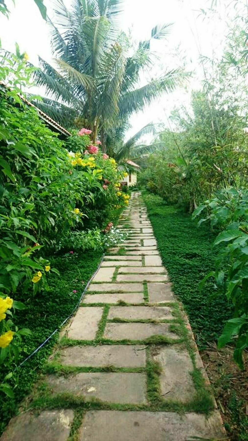 Orchard Fruit Farm Bungalow Фукуок Екстер'єр фото
